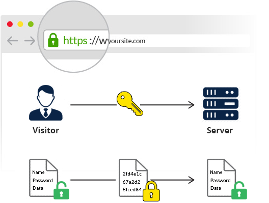 How does cheap SSL/TLS certificate work?